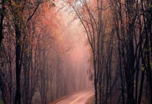 开云体育平台APP-当潮汐吞没最后一粒沙——塔希提球队的赤足史诗