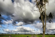 开云体育-安菲尔德暗夜！利物浦双线溃败之谜：客场虫化与王朝崩塌前兆