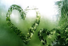 开云体育中国-济州风暴席卷伦敦！韩国草根军团如何肢解英超豪门