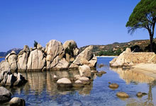 开云体育APP下载-阿森纳的无奈投降，施耐德林的关键破门