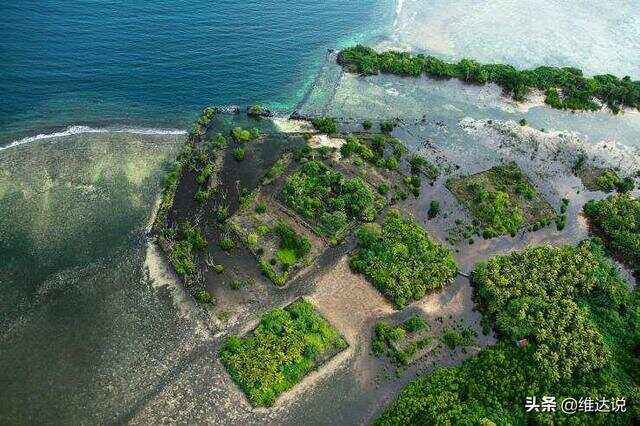 开云体育平台APP-关于密克罗尼西亚联邦球员因受困赛场大赛落选的信息