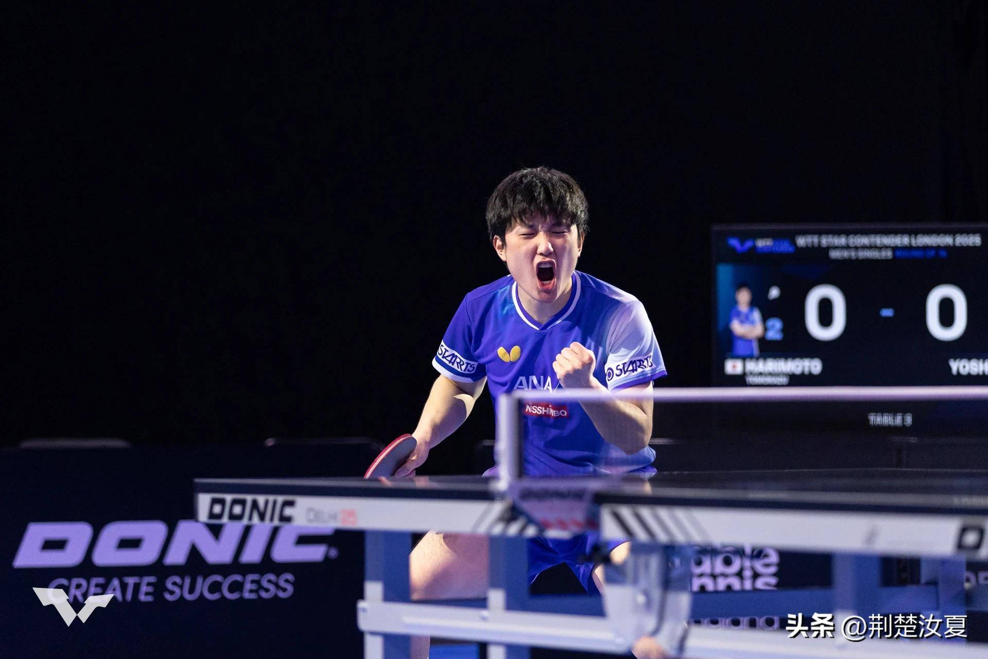 开云体育中国-包含英格兰队完胜波兰队,张本智和扛起全队的词条