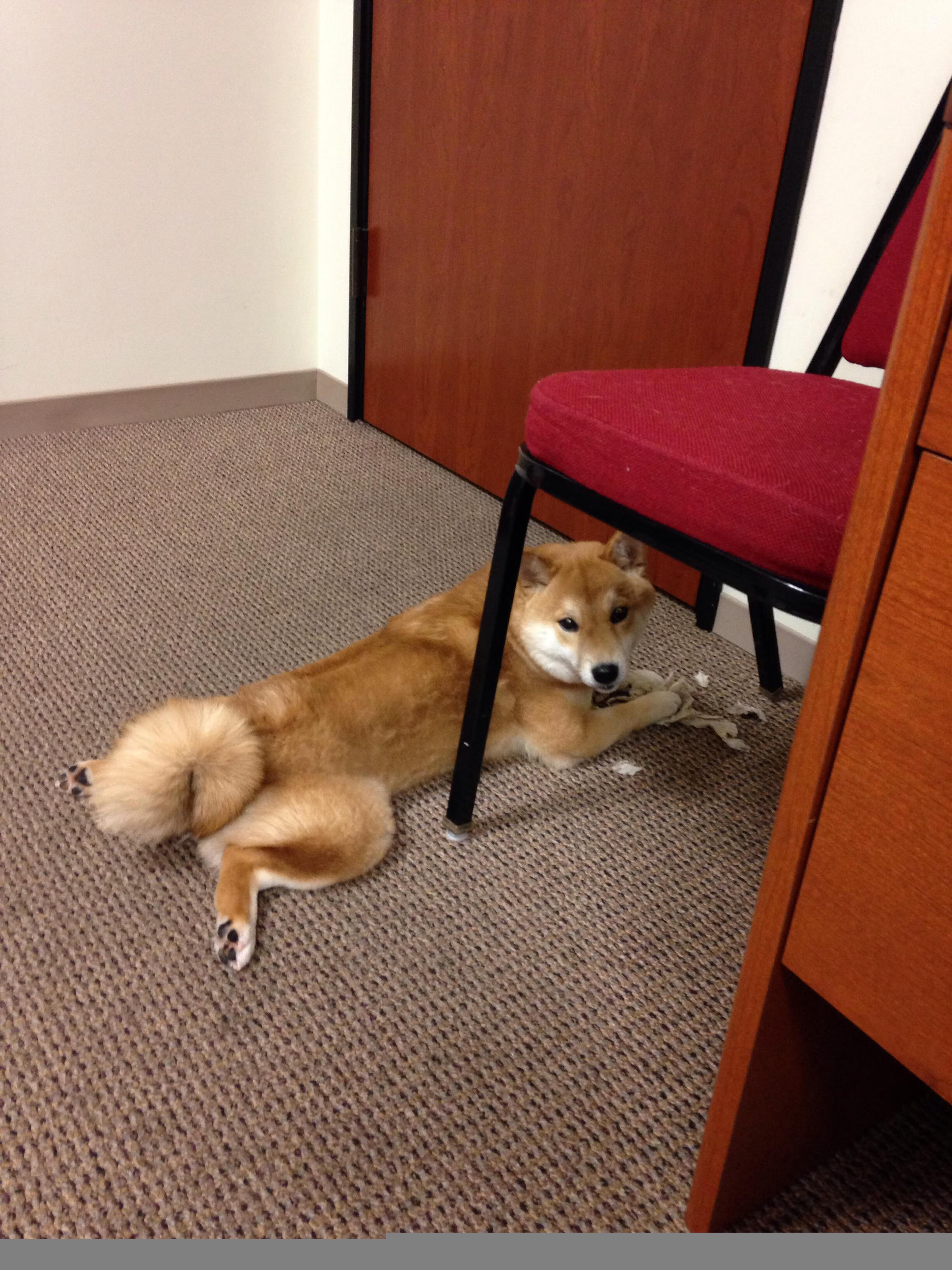 开云体育下载-末节之神！奥纳纳接管比赛，波兰绝地逆转佛罗伦萨