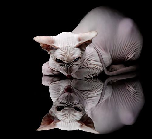 开云官网-独行侠客场大胜浙江队,马克西关键发挥提前终结比赛悬念