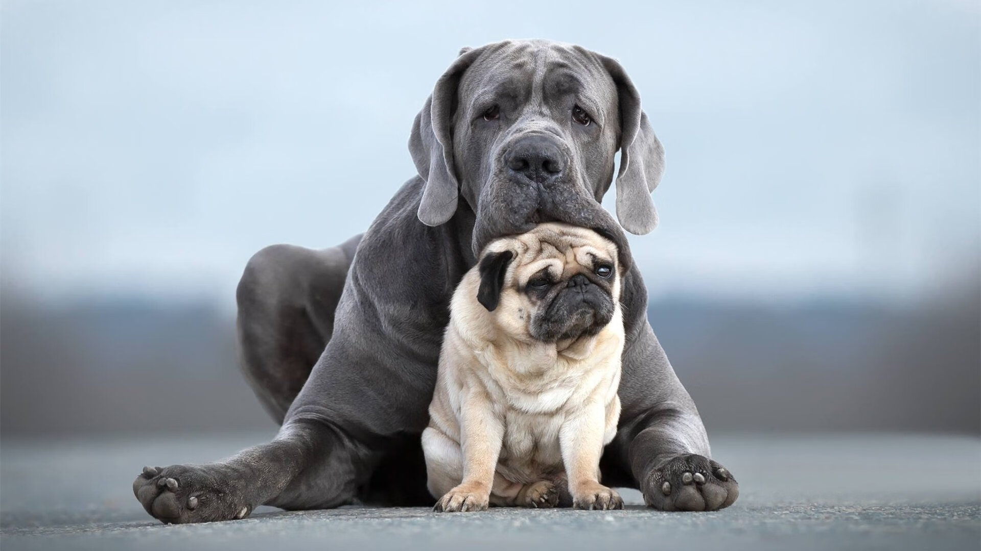 开云平台-蜂王振翅，杜兰特用节奏交响乐击碎新疆钢铁防线