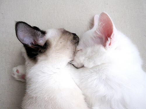 雪崩式胜利！洪都拉斯踏平瑞典，奥运周期关键战的微型革命