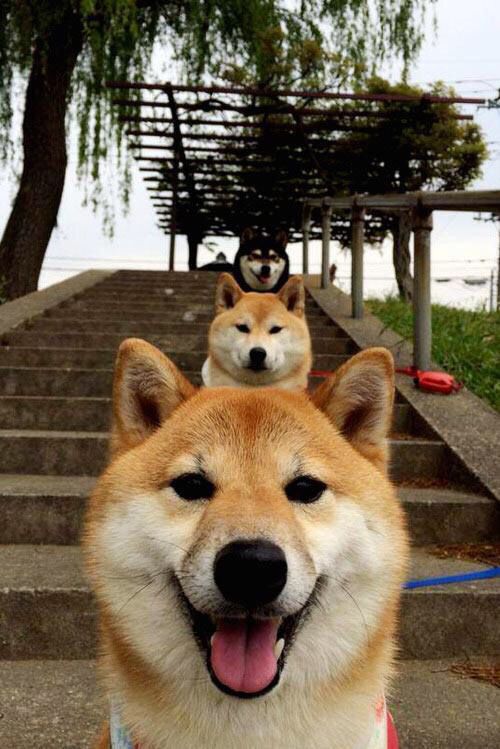 星光与沙漠,久保建英的穿透力与突尼斯的坚韧胜利