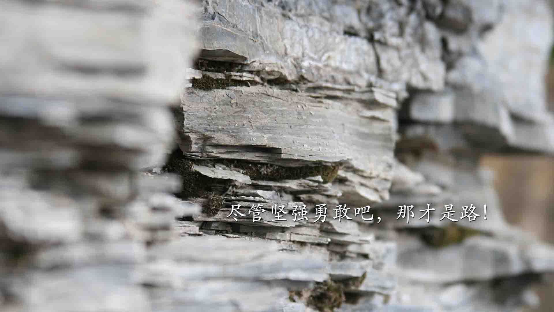 开云体育app-哈利伯顿的节奏魔法，当爵士乐在篮球场上即兴演奏