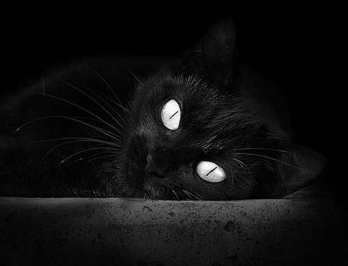 开云下载-欧冠决赛级别的较量，佛罗伦萨的艺术足球如何全面压制乌拉圭的血性