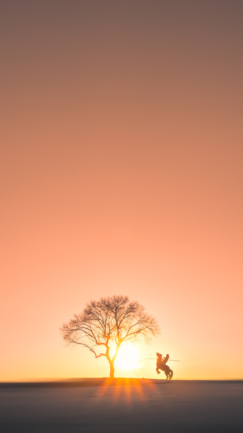 开云体育登录-破局者与手术刀，当德布劳内的连续得分键照亮勒沃库森的掀翻哲学