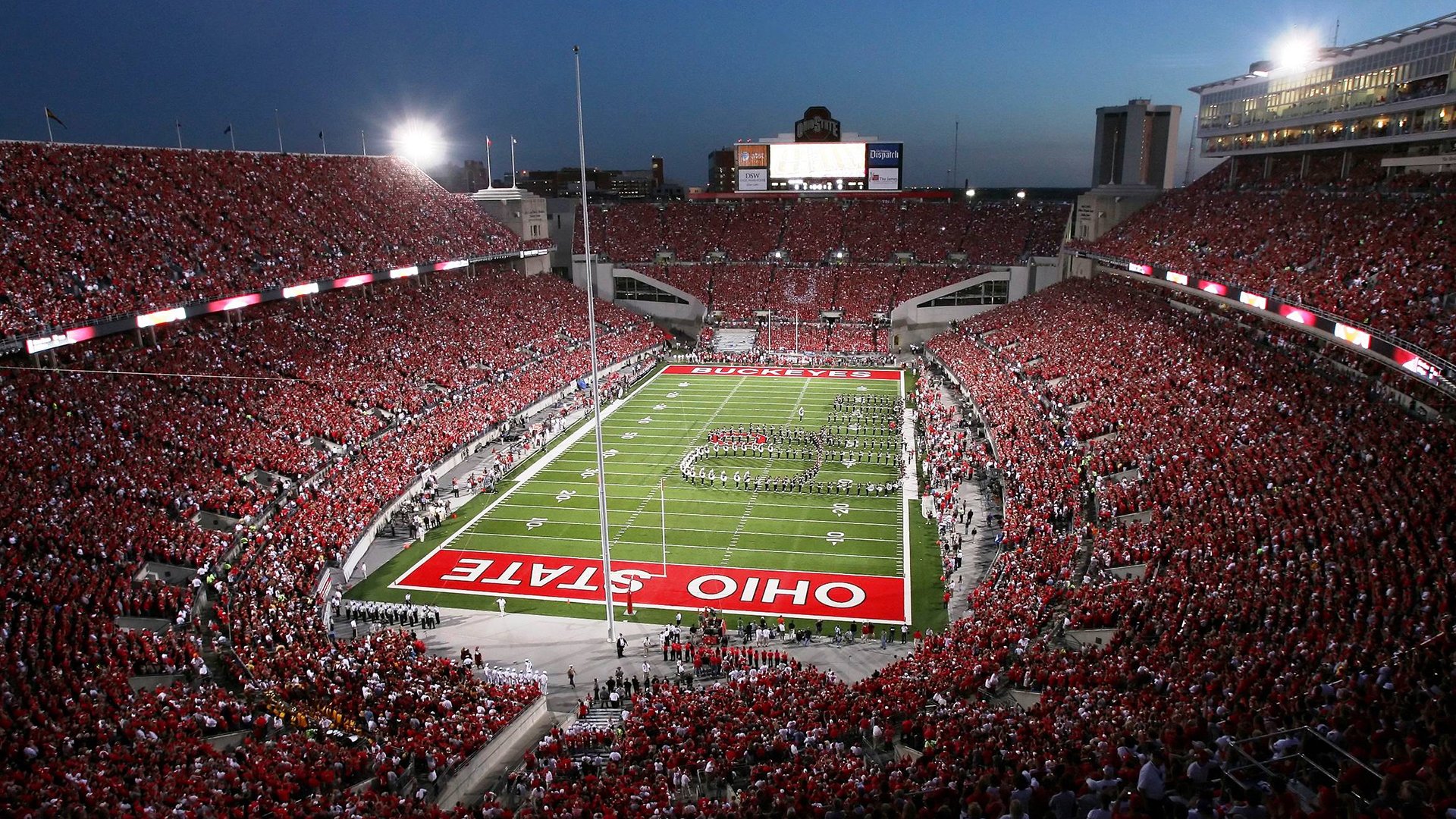 驯服风暴之眼，托尼的节奏魔法与新西兰的突围史诗