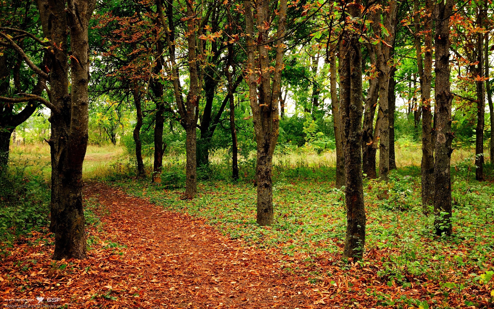 绿茵场上的地缘政治课,当伊朗强压阿根廷,苏亚雷斯如何成为关键先生?