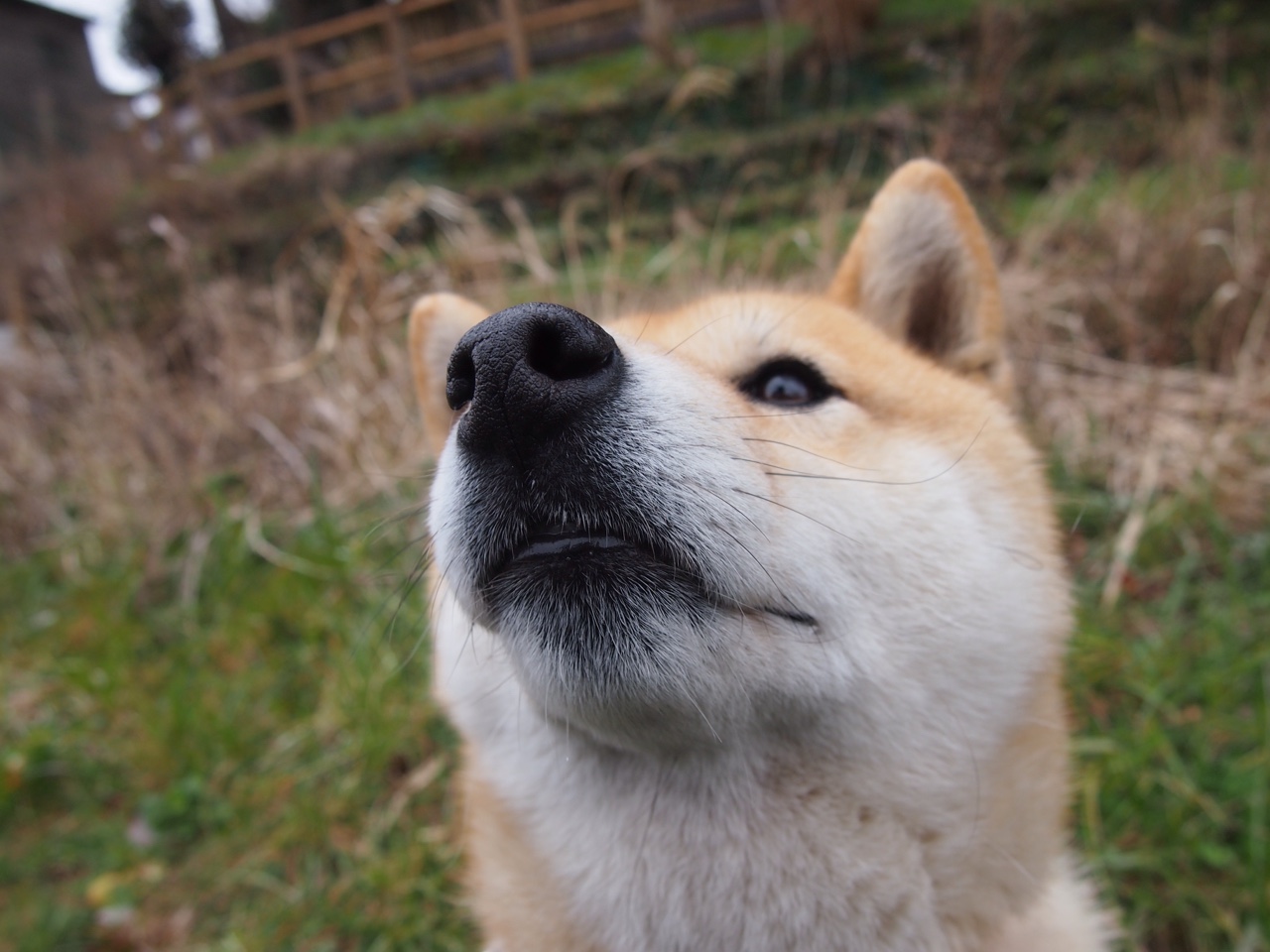 开云体育中国-速度与激情，当F1街道赛的轰鸣遇上篮球场的绝杀