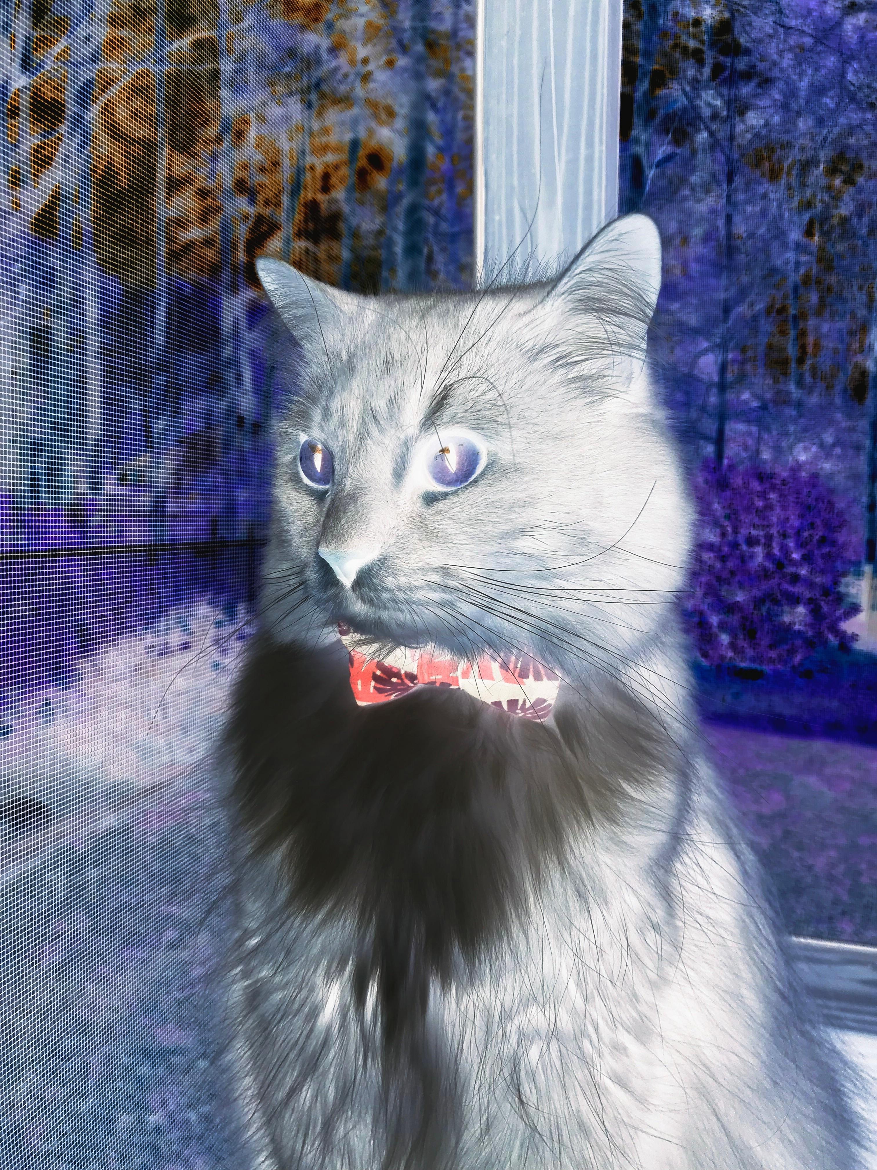 开云体育登录-极速之耀，F1新赛季启程与马刺闪电战的双重奏