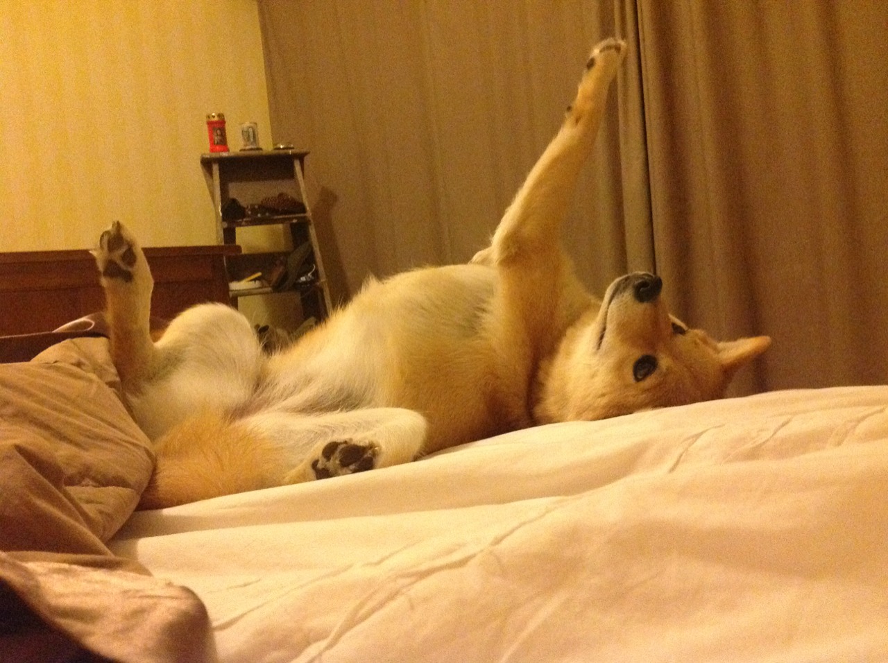 跨界较量！伦纳德单场49分神奇表演，辽宁队加时压哨绝杀雄鹿