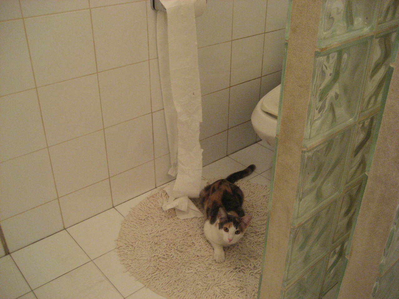 东契奇统治全场，凯尔特人轻取山西队