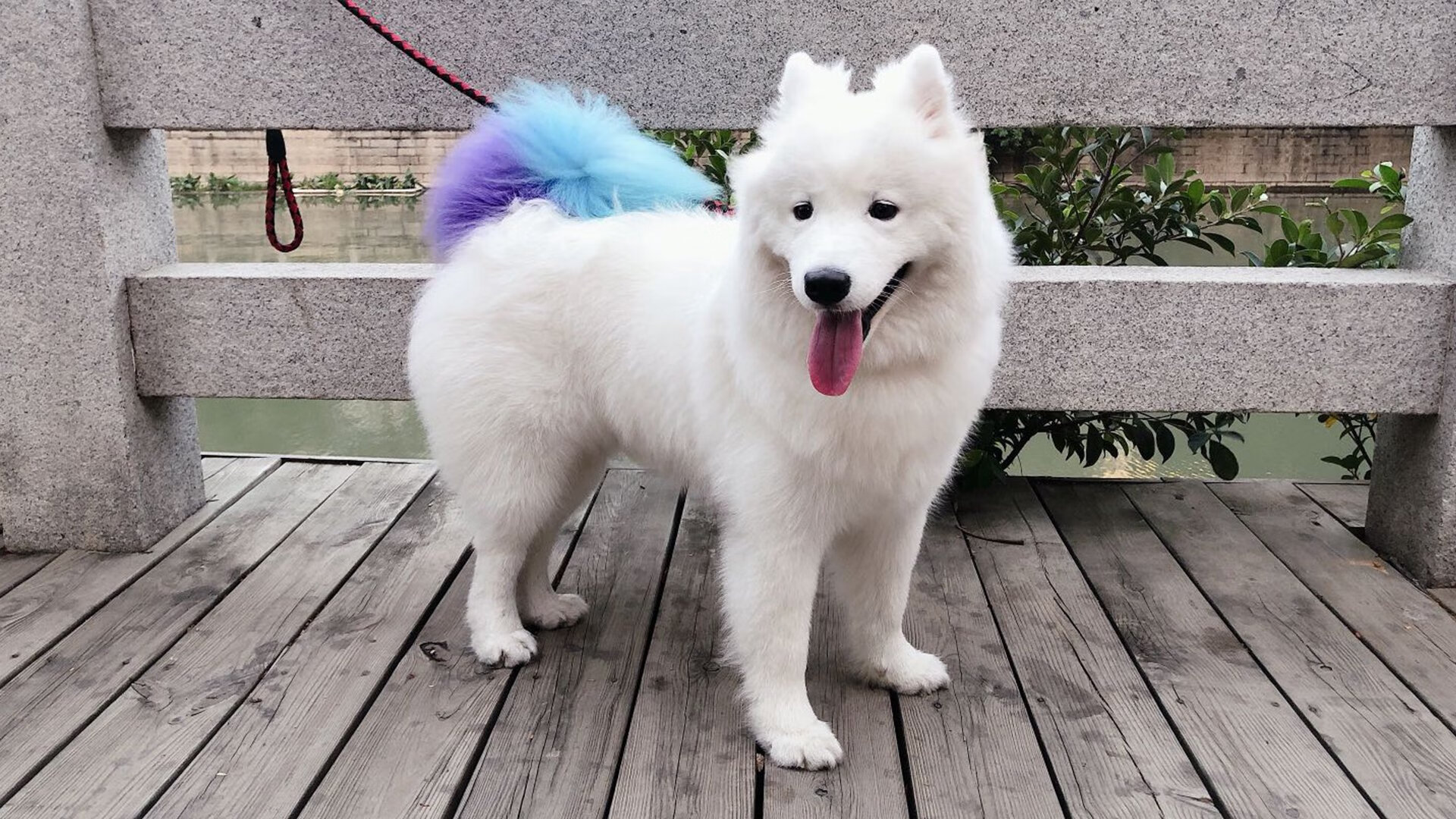 孤胆英雄，苏亚雷斯一锤定音，牙买加掀翻毕尔巴鄂钢铁防线